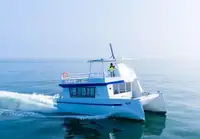 କାଟାମାରାନ୍ ବିକ୍ରୟ ପାଇଁ