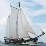 ଯାକ୍ଟ୍ ବିକ୍ରୟ ପାଇଁ