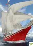 କ୍ରୁଜ୍ ଜାହାଜ ବିକ୍ରୟ ପାଇଁ