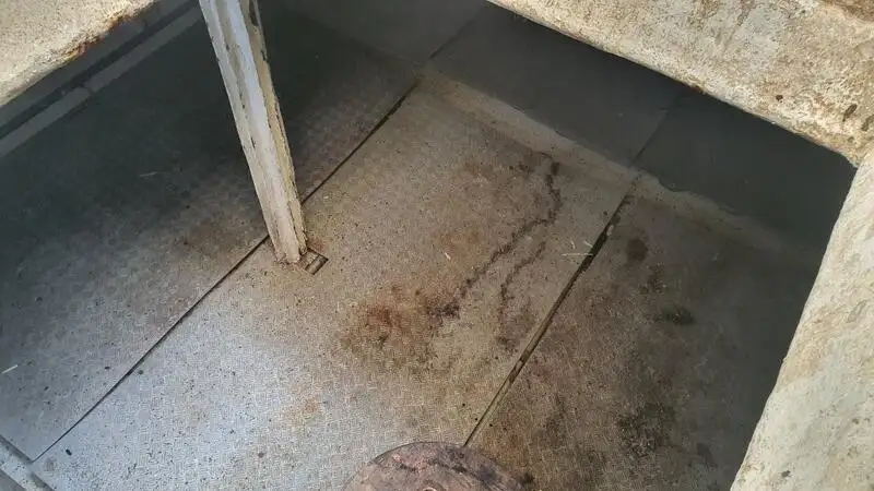ଲଙ୍ଗଲାଇନର ବିକ୍ରୟ ପାଇଁ