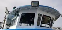 କାଟାମାରାନ୍ ବିକ୍ରୟ ପାଇଁ
