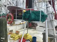 ଟ୍ରଲର ବିକ୍ରୟ ପାଇଁ