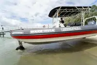 ଆମ୍ଫିବିୟସ୍ ବିକ୍ରୟ ପାଇଁ