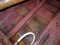 କଟର ବିକ୍ରୟ ପାଇଁ