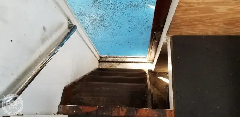 କାଟାମାରାନ୍ ବିକ୍ରୟ ପାଇଁ