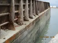 ବାର୍ଜ୍ ବିକ୍ରୟ ପାଇଁ