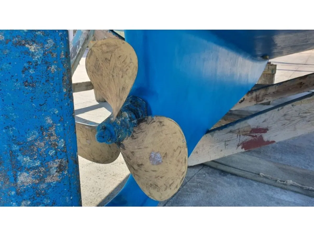 ଯାକ୍ଟ୍ ବିକ୍ରୟ ପାଇଁ
