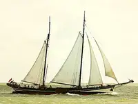 ଯାକ୍ଟ୍ ବିକ୍ରୟ ପାଇଁ