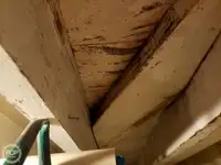 ଫେରୀ ଜାହାଜ ବିକ୍ରୟ ପାଇଁ
