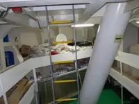 ବଲ୍କ କ୍ୟାରିୟର ବିକ୍ରୟ ପାଇଁ