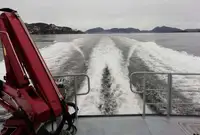 କାର୍ଯ୍ୟକାରୀ ନୌକା ବିକ୍ରୟ ପାଇଁ