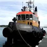 ଟୋବୋଟ୍ ବିକ୍ରୟ ପାଇଁ