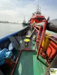 ଟୋବୋଟ୍ ବିକ୍ରୟ ପାଇଁ
