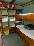 ଲଙ୍ଗଲାଇନର ବିକ୍ରୟ ପାଇଁ
