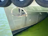 କାଟାମାରାନ୍ ବିକ୍ରୟ ପାଇଁ