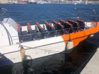 ଫେରୀ ଜାହାଜ ବିକ୍ରୟ ପାଇଁ