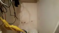 ଟ୍ରଲର ବିକ୍ରୟ ପାଇଁ
