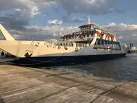 Ro-Ro ship ବିକ୍ରୟ ପାଇଁ