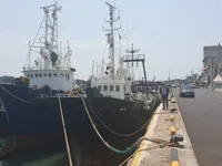 ଟ୍ରଲର ବିକ୍ରୟ ପାଇଁ