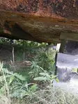 ବାର୍ଜ୍ ବିକ୍ରୟ ପାଇଁ