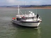 ଲଙ୍ଗଲାଇନର ବିକ୍ରୟ ପାଇଁ