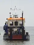 ଟୋବୋଟ୍ ବିକ୍ରୟ ପାଇଁ