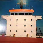 ବଲ୍କ କ୍ୟାରିୟର ବିକ୍ରୟ ପାଇଁ