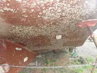 ଟୋବୋଟ୍ ବିକ୍ରୟ ପାଇଁ