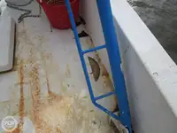 ଟ୍ରଲର ବିକ୍ରୟ ପାଇଁ