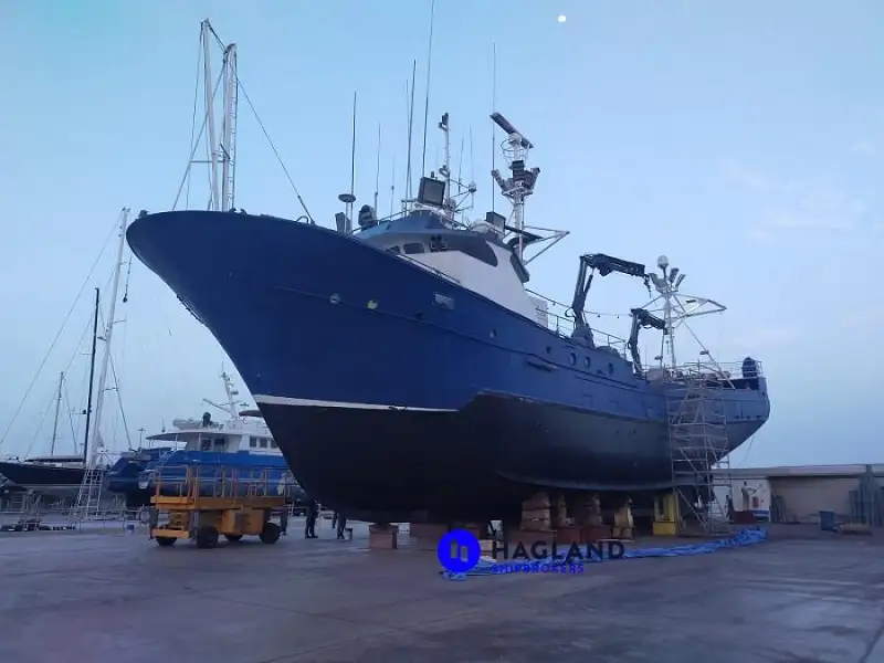 ଟୁନା ଲଙ୍ଗଲାଇନର ବିକ୍ରୟ ପାଇଁ