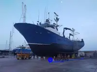 ଟୁନା ଲଙ୍ଗଲାଇନର ବିକ୍ରୟ ପାଇଁ