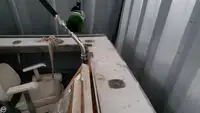 ଟ୍ରଲର ବିକ୍ରୟ ପାଇଁ