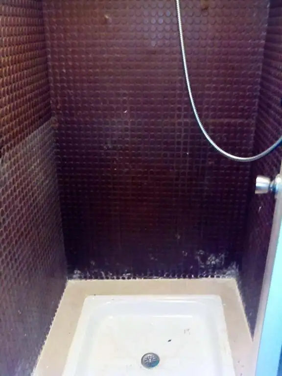 ଟୋବୋଟ୍ ବିକ୍ରୟ ପାଇଁ