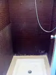ଟୋବୋଟ୍ ବିକ୍ରୟ ପାଇଁ