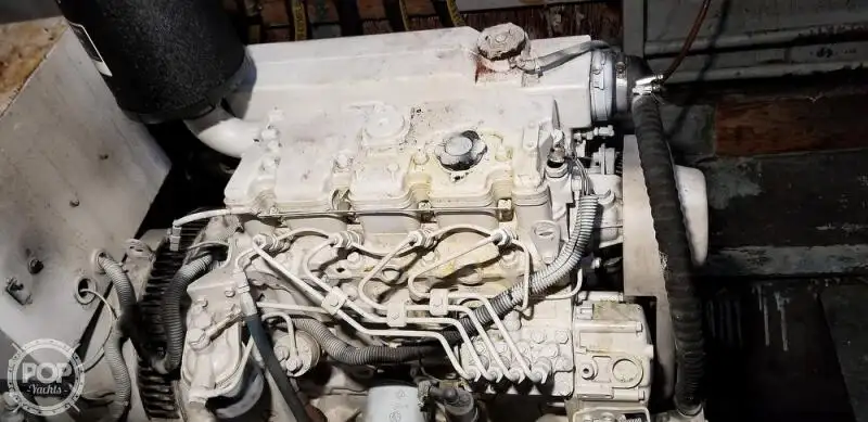 କାଟାମାରାନ୍ ବିକ୍ରୟ ପାଇଁ