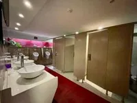 ଯାତ୍ରୀ ଜାହାଜ ବିକ୍ରୟ ପାଇଁ