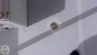 ଡାଇଭ୍ ସପୋର୍ଟ ବିକ୍ରୟ ପାଇଁ