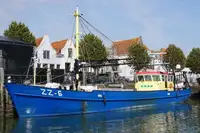 Trawler ବିକ୍ରୟ ପାଇଁ