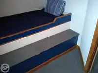 କଟର ବିକ୍ରୟ ପାଇଁ