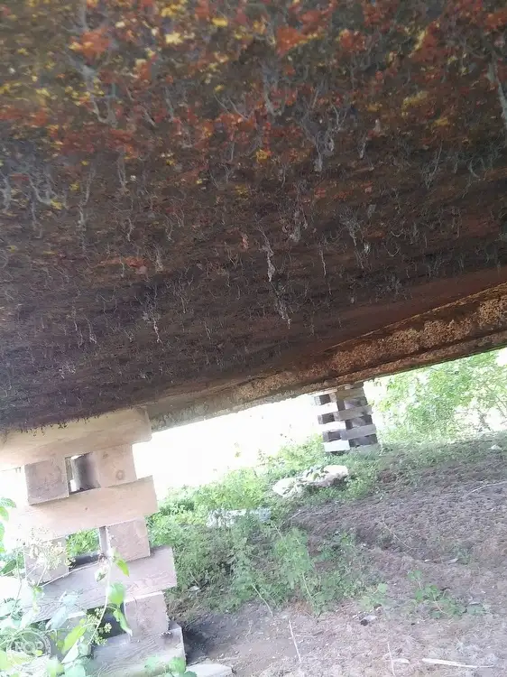 ବାର୍ଜ୍ ବିକ୍ରୟ ପାଇଁ