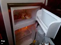 ଡାଇଭ୍ ସପୋର୍ଟ ବିକ୍ରୟ ପାଇଁ