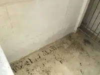 ଟ୍ରଲର ବିକ୍ରୟ ପାଇଁ