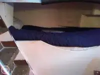 କଟର ବିକ୍ରୟ ପାଇଁ