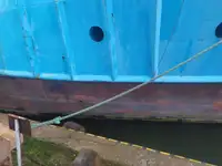 ଟୋବୋଟ୍ ବିକ୍ରୟ ପାଇଁ