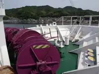 ବଲ୍କ କ୍ୟାରିୟର ବିକ୍ରୟ ପାଇଁ