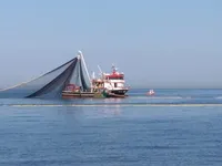 ମାଛଧରା ନୌ ବିକ୍ରୟ ପାଇଁ