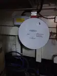 ପାଇଲଟ୍ ବୋଟ୍ ବିକ୍ରୟ ପାଇଁ
