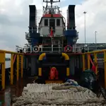 ଟୋବୋଟ୍ ବିକ୍ରୟ ପାଇଁ