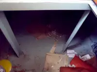 ଟୋବୋଟ୍ ବିକ୍ରୟ ପାଇଁ