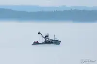 ପର୍ସ ସେନେର ବିକ୍ରୟ ପାଇଁ